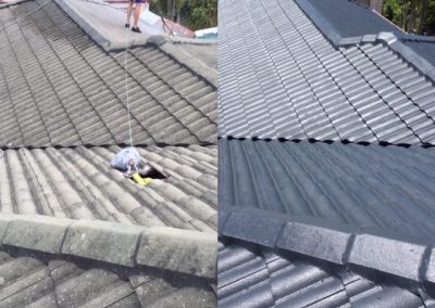 Before and after of a roof restoration using colour Monument